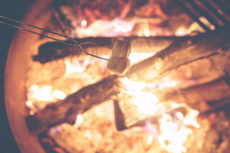 camping bonfire
